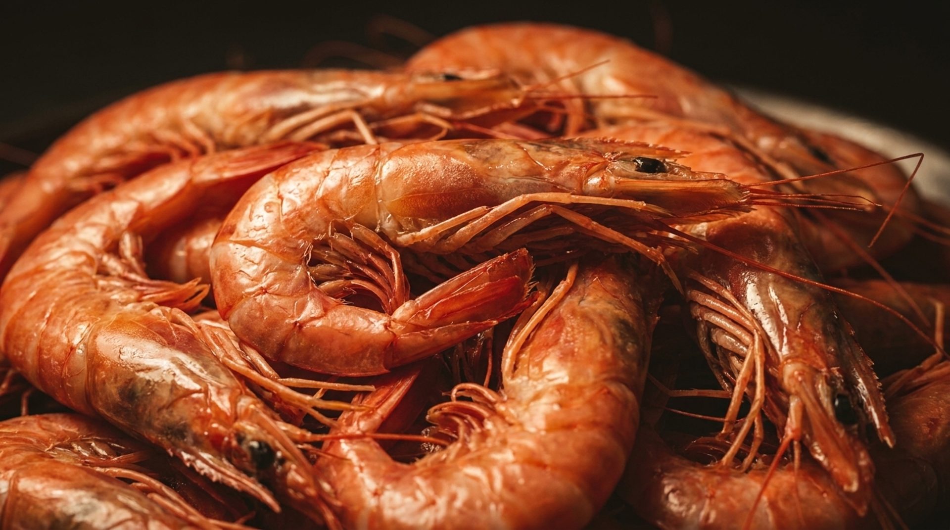 The Shrimp Obsession